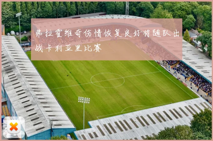 弗拉霍维奇伤情恢复良好将随队出战卡利亚里比赛