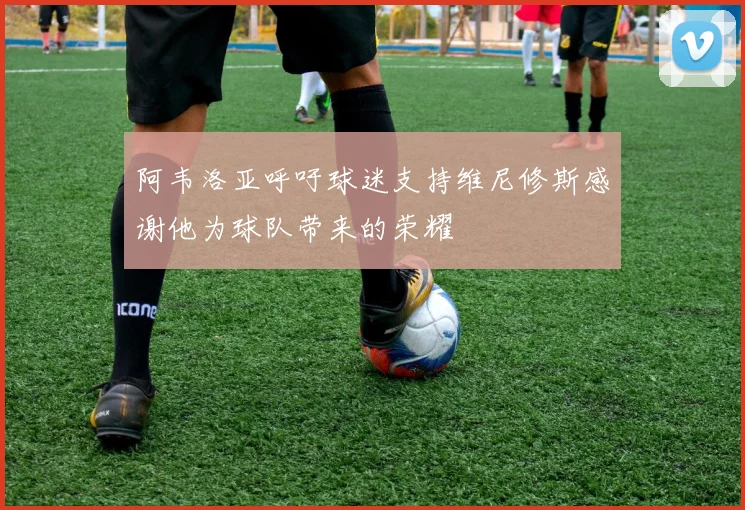 阿韦洛亚呼吁球迷支持维尼修斯感谢他为球队带来的荣耀