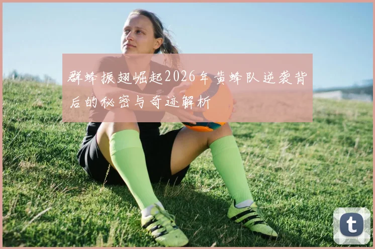 群蜂振翅崛起2026年黄蜂队逆袭背后的秘密与奇迹解析