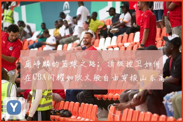 庞峥麟的篮球之路：顶级控卫如何在CBA闪耀如欧文般自由穿梭山东高速