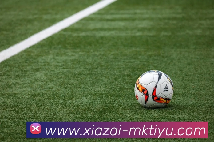 MK体育APP 封面图